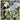 NVC-MDNZ-GDFY01 - 07